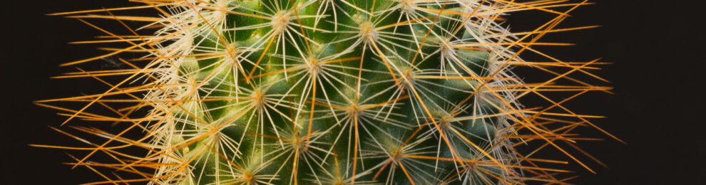 Spike